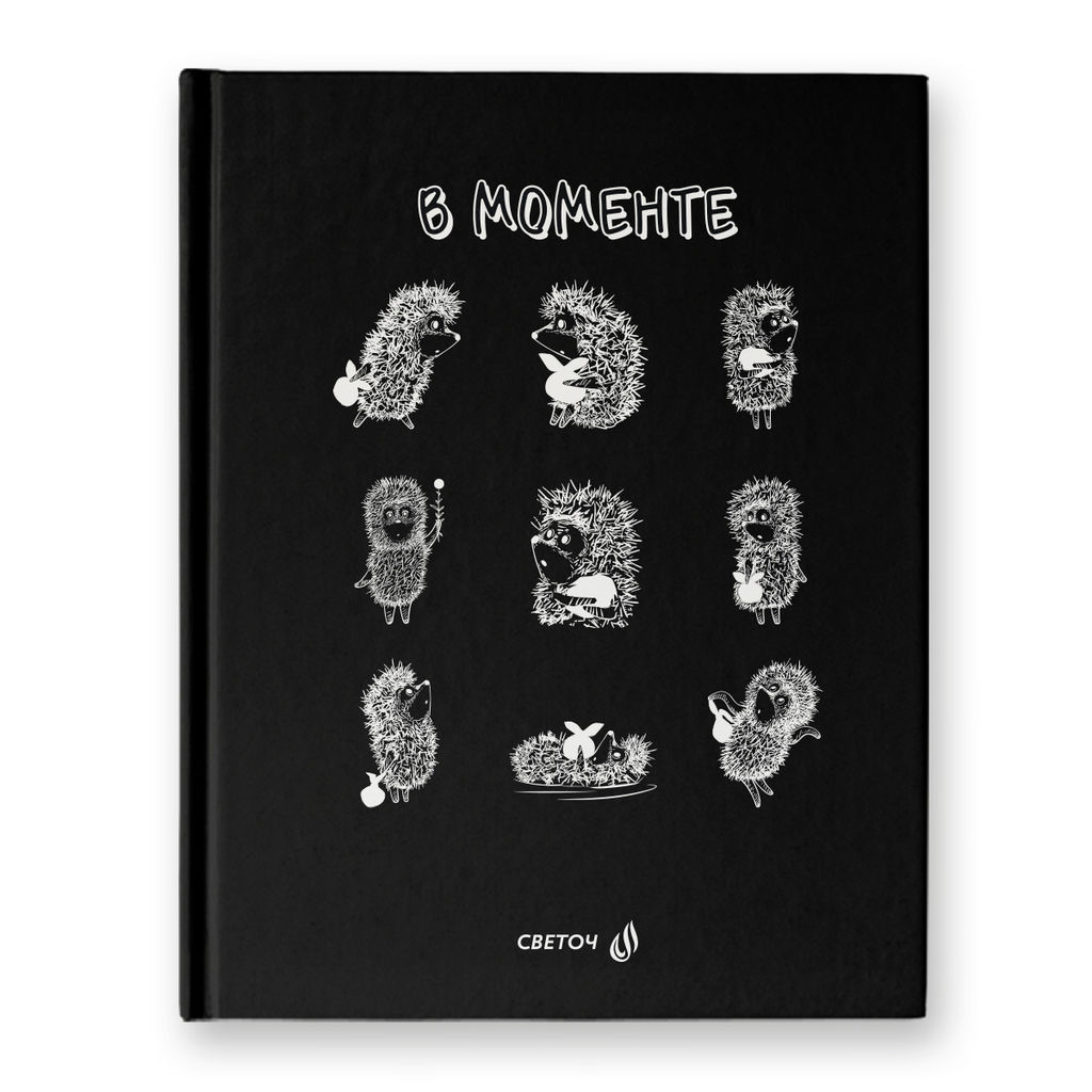 Светоч Бизнес-блокнот, матовая ламинация + выборочный лак, ( лицензия ), ББ102 A5+ 80 л. 22 шт. клетка В моменте (Ёжик в тумане) 01165