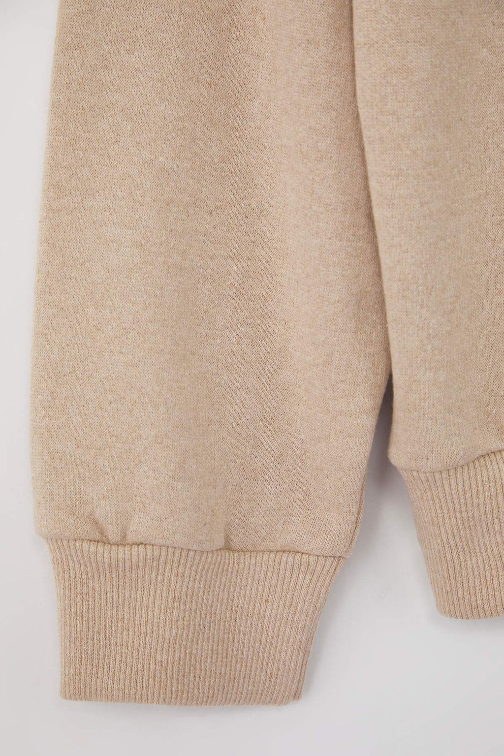 Tas Oversize/Genis Kesim Bisiklet Yaka Uzun Kol Hayvan Nak?sl? Sweatshirt TMNAW24SW00169