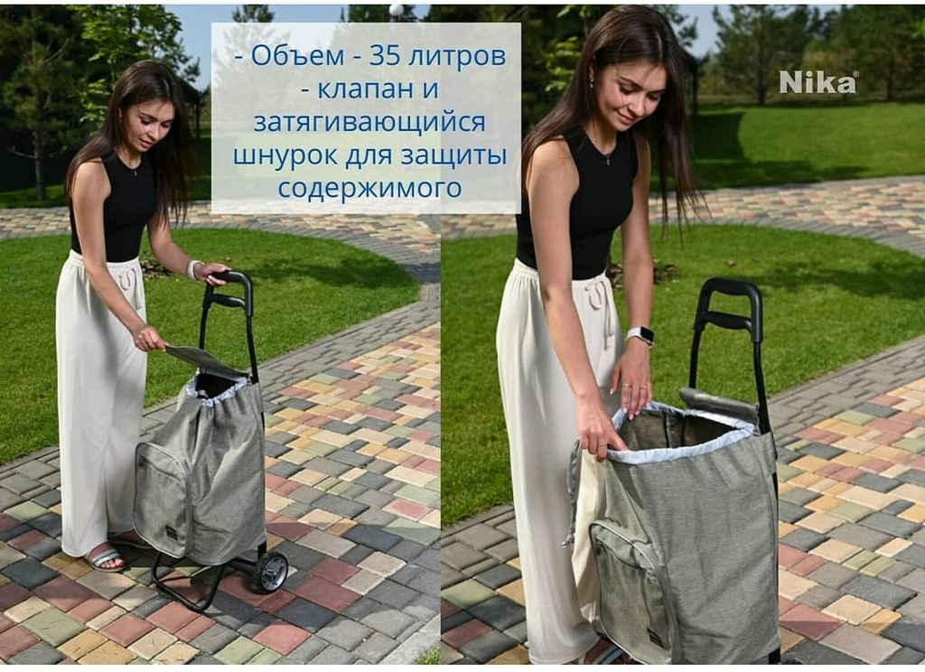 Тележка хозяйственная на колёсах СХ2