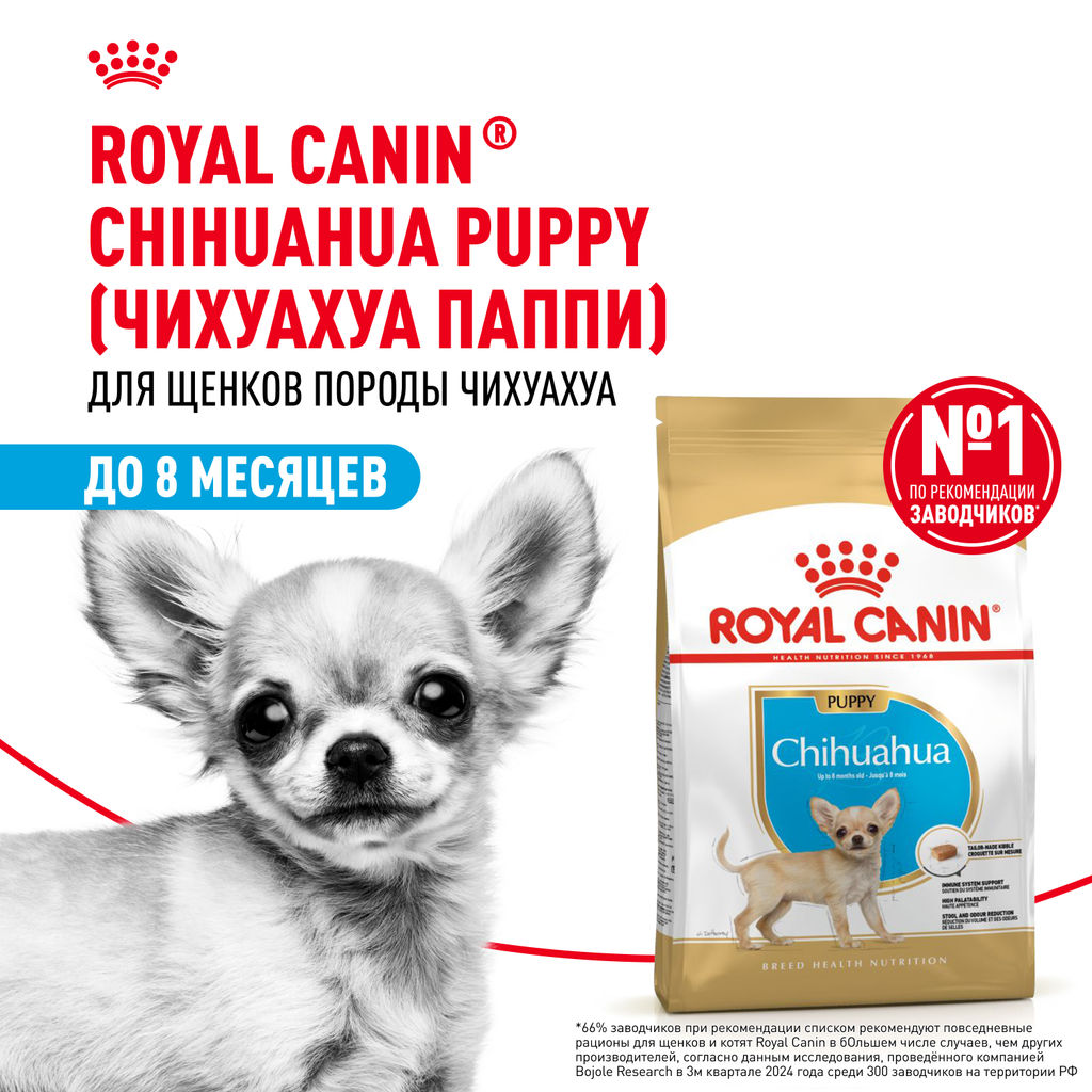 RC Для щенков Чихуахуа: до 8мес. (Chihuahua 30 puppy) 24380050R0