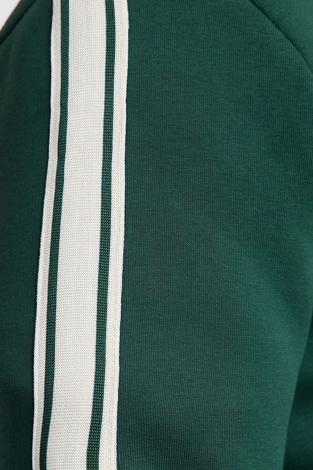 Zumrut Yesili Regular/Normal Kesim Seritli Ici Polarl? Sweatshirt TMNAW25SW00163 - Trendyolmilla фото 4