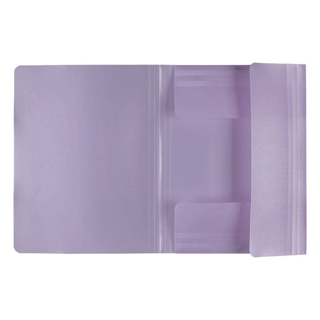 Expert Complete Trend ICEberries Папка на резинке A4 600 мкм 35 мм лён 1 шт. ежевика EC210420072