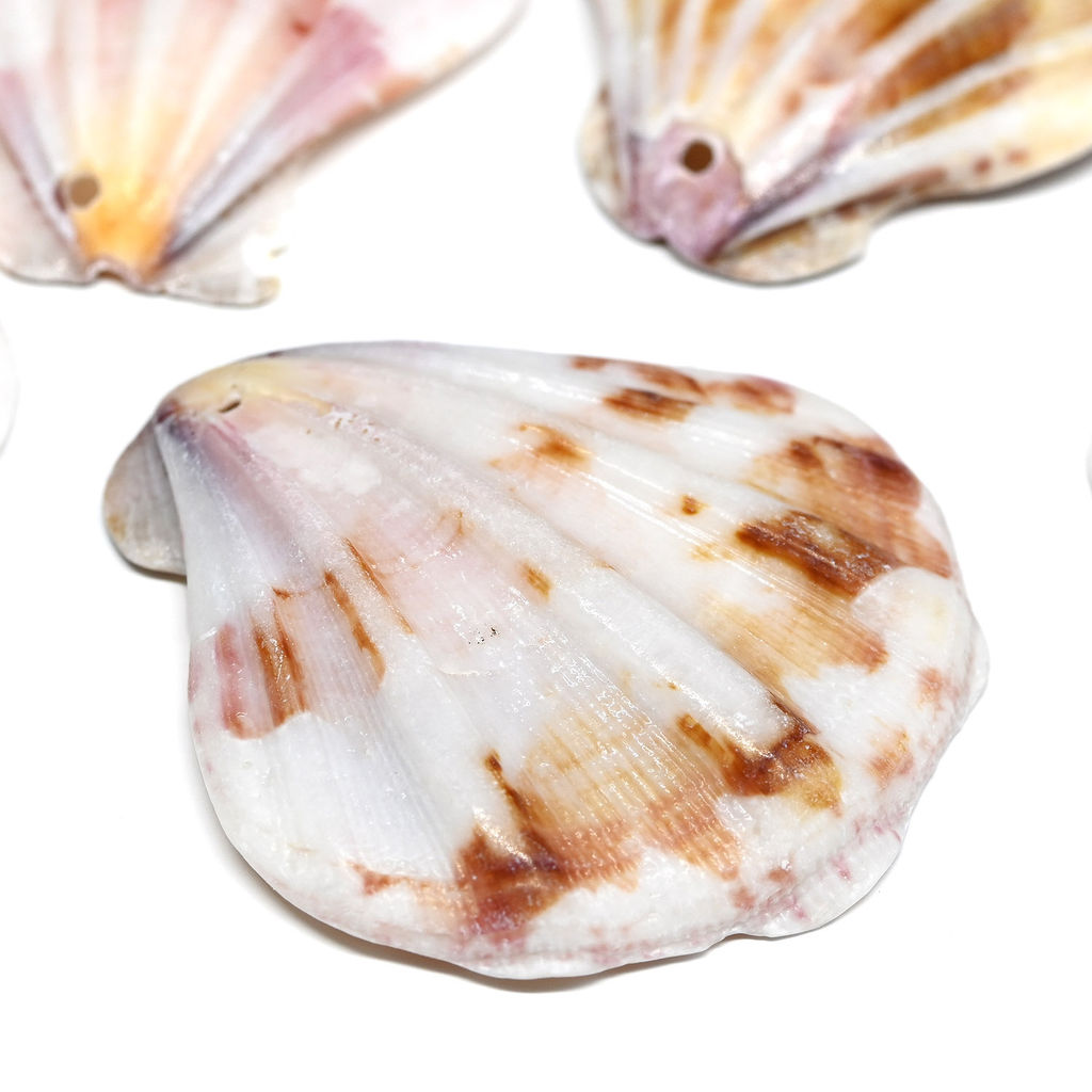 Ракушка морской гребешок в натуральном цвете 30*35мм, 5 ракушек Радуга камня