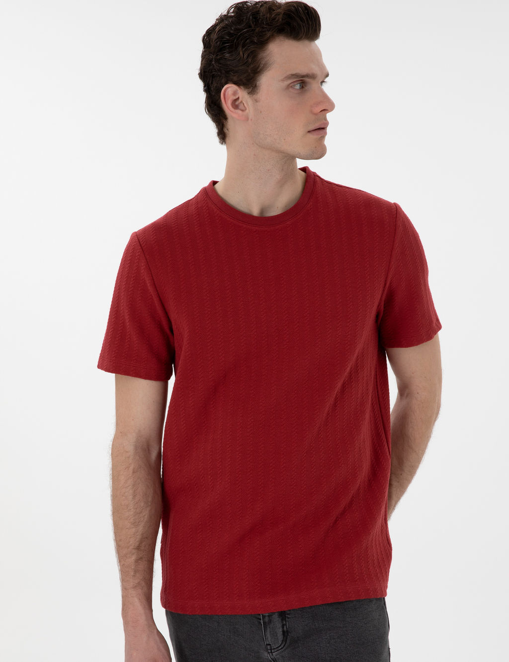 Nar _i_e_i Regular Fit Ti__rt
