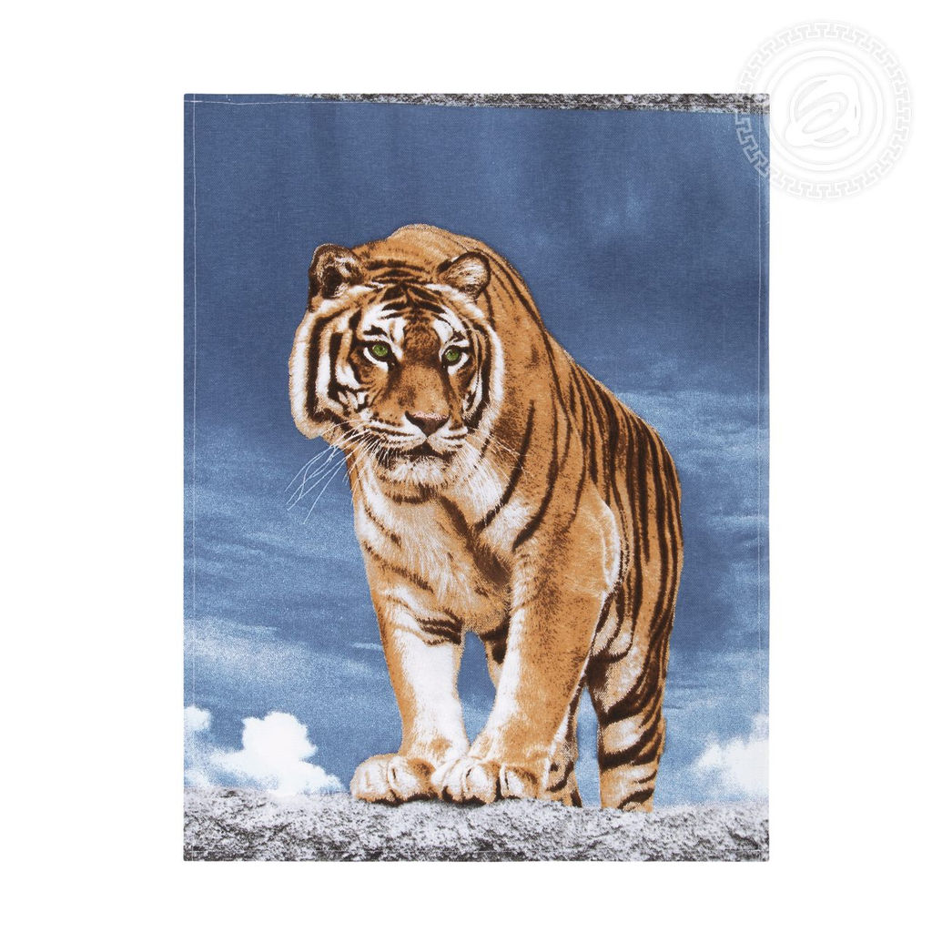 Набор полотенец из рогожки "Раджа" 45*60/2 шт. - 45*60 Полотенца из рогожки