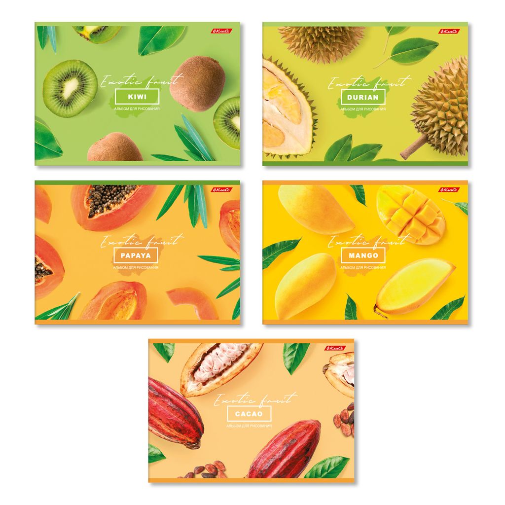 Светоч 48АЛСК4_1_3_9 Альбом для рисования 100 г/м2 A4 29 х 20.5 см 48 л. 5 шт. на скобе 000260 Зелёная ракета фото 12