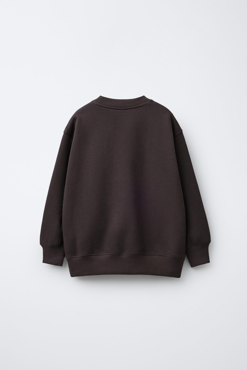 FLOCK CHERRY CAPYBARA CAPYFUN  SWEATSHIRT - Zara фото 2