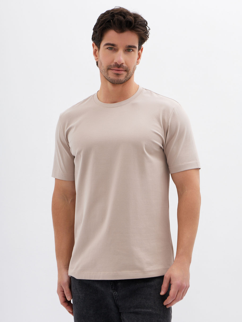 Футболка мужская короткий рукав GREG G145-KO-HJ-20115-N (серо-бежевый)