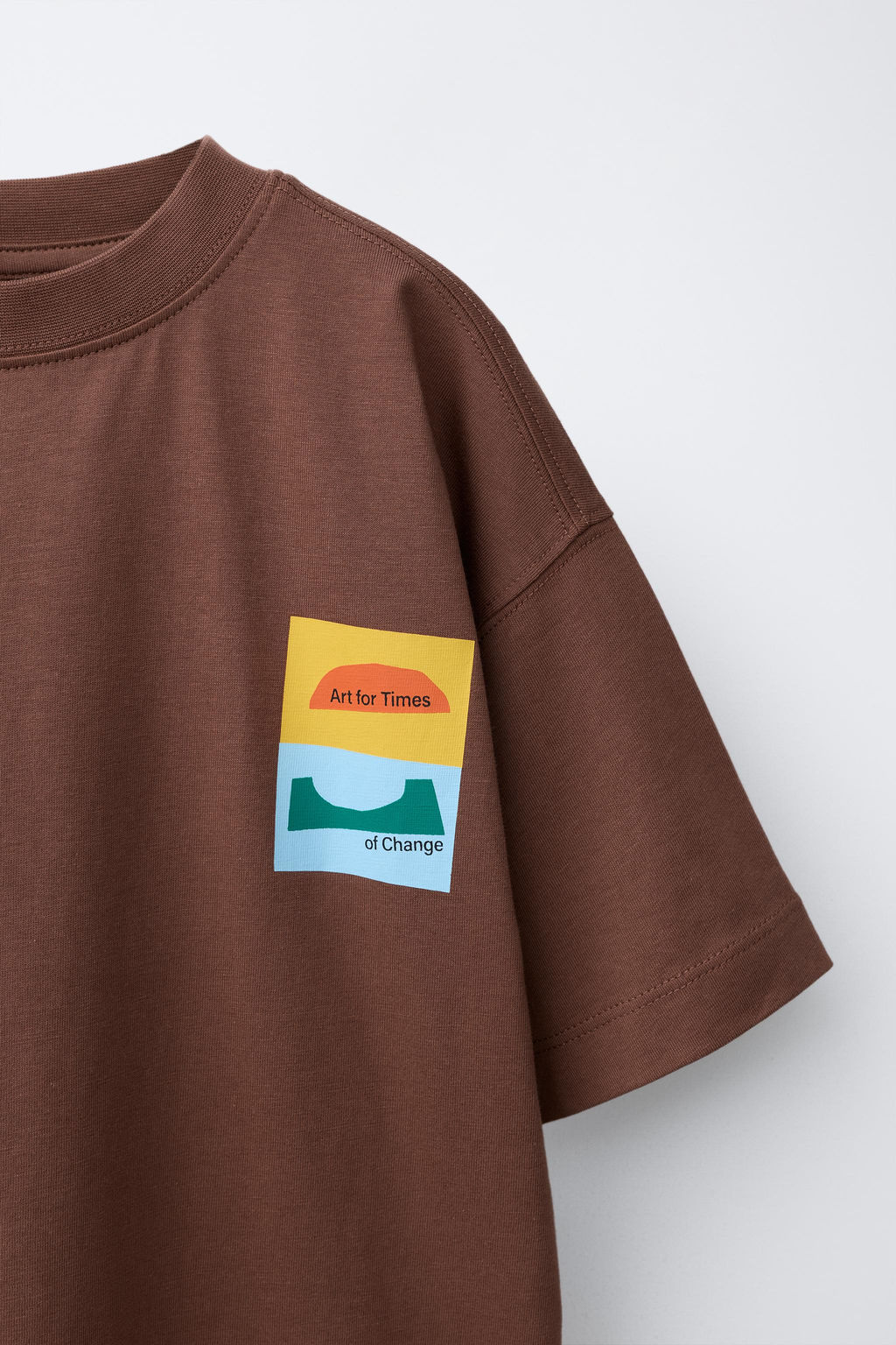 CAMISETA ESTAMPADA GR?FICO / Marr?n - Zara фото 3