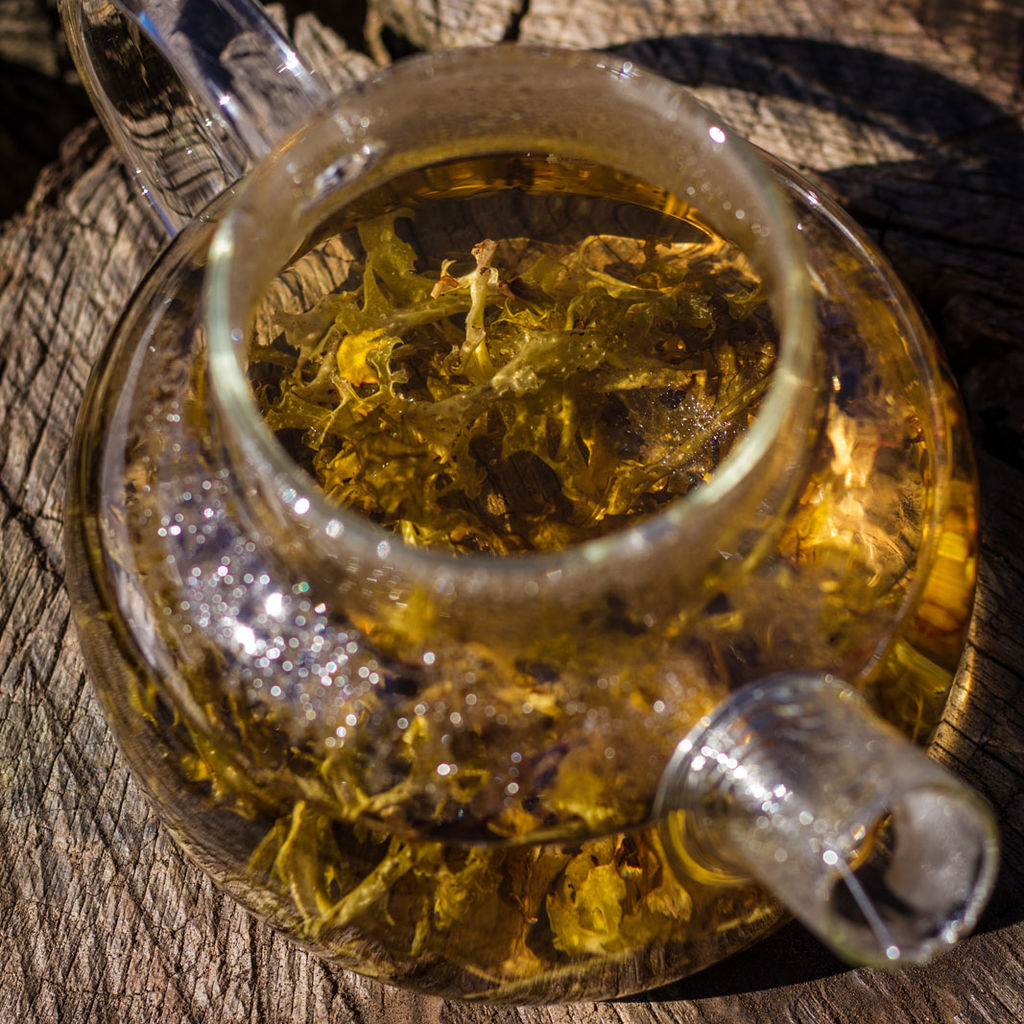 Benerich Исландский мох, 50 грамм  фото 7