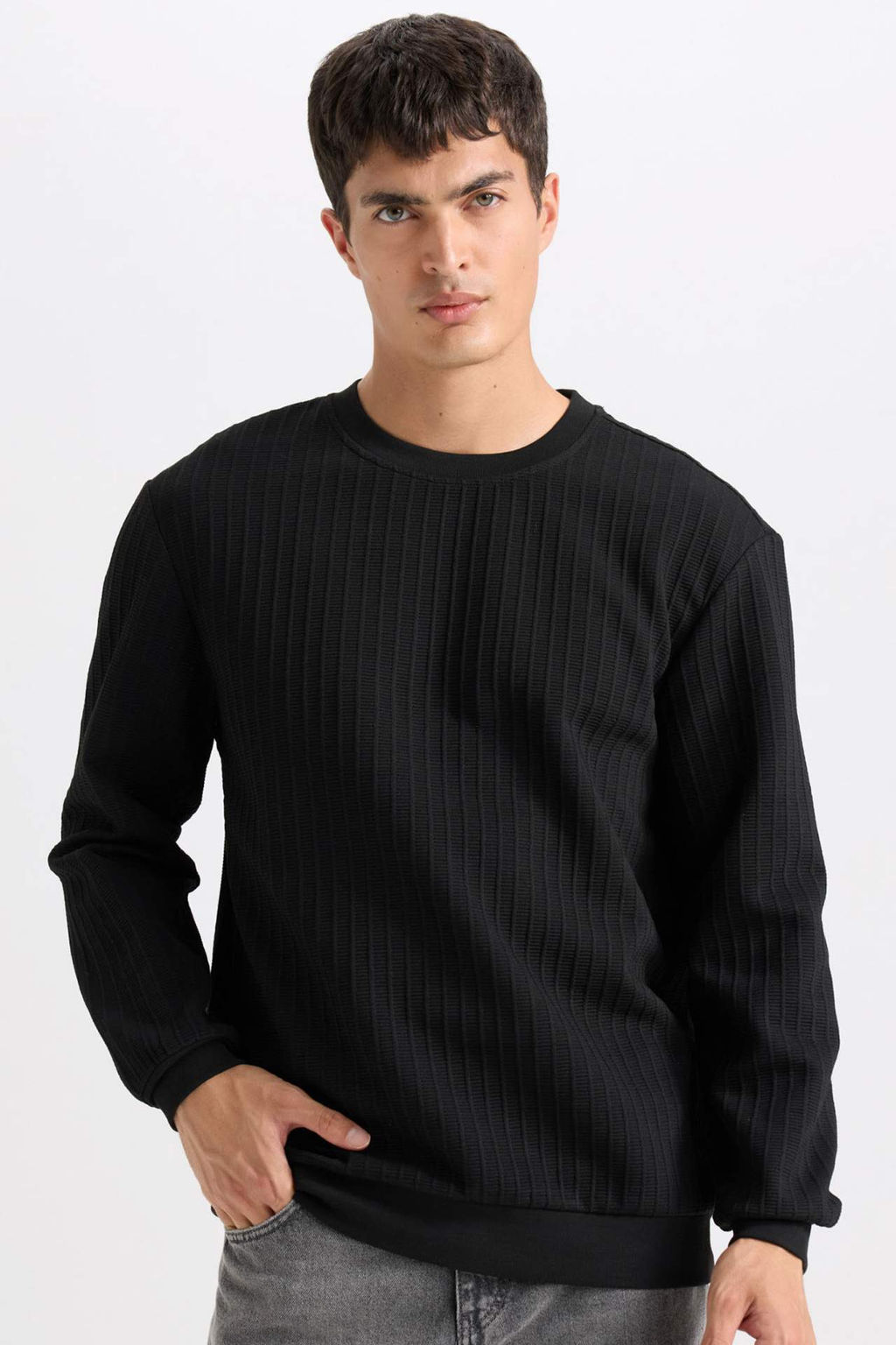 Regular Fit Bisiklet Yaka Jakarl? Sweatshirt - Defacto фото 2