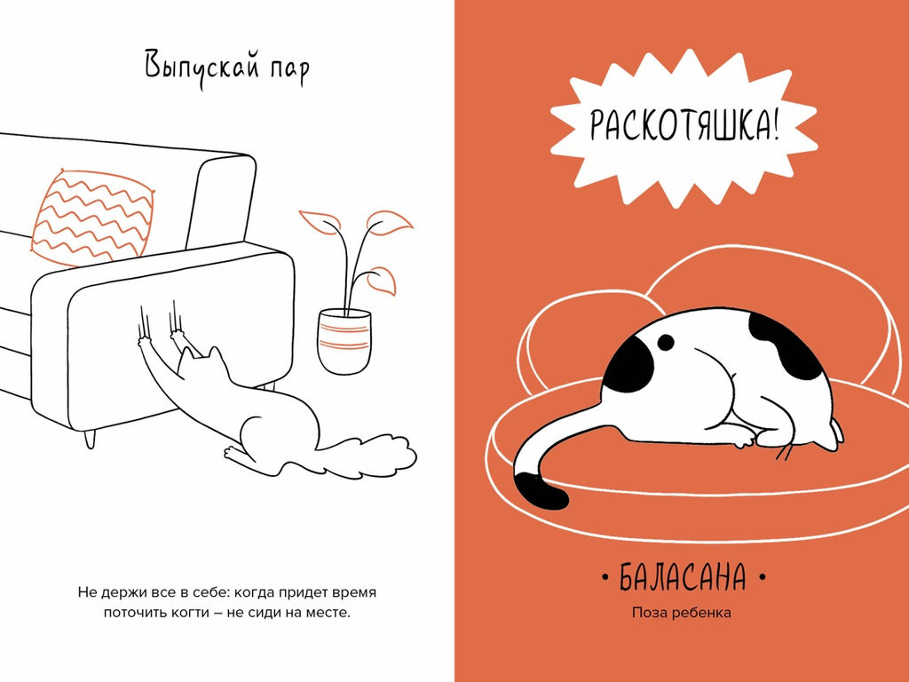 Кот всему голова. Кошачьи мудрости для жизни без стресса. Баваньоли Д.