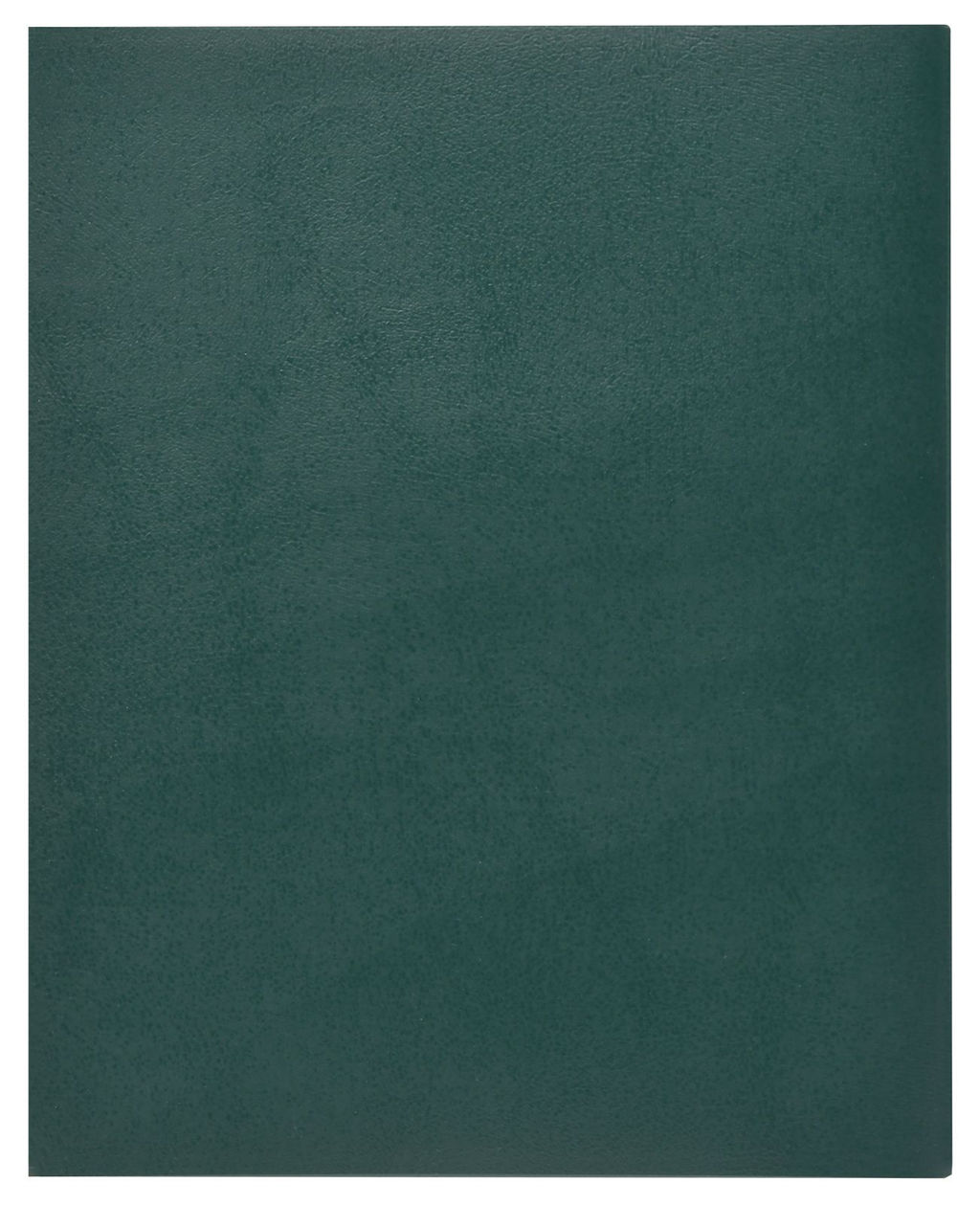 Тетрадь 96 листов INFORMAT А4 в клетку, обложка бумвинил, на скрепке, зеленая