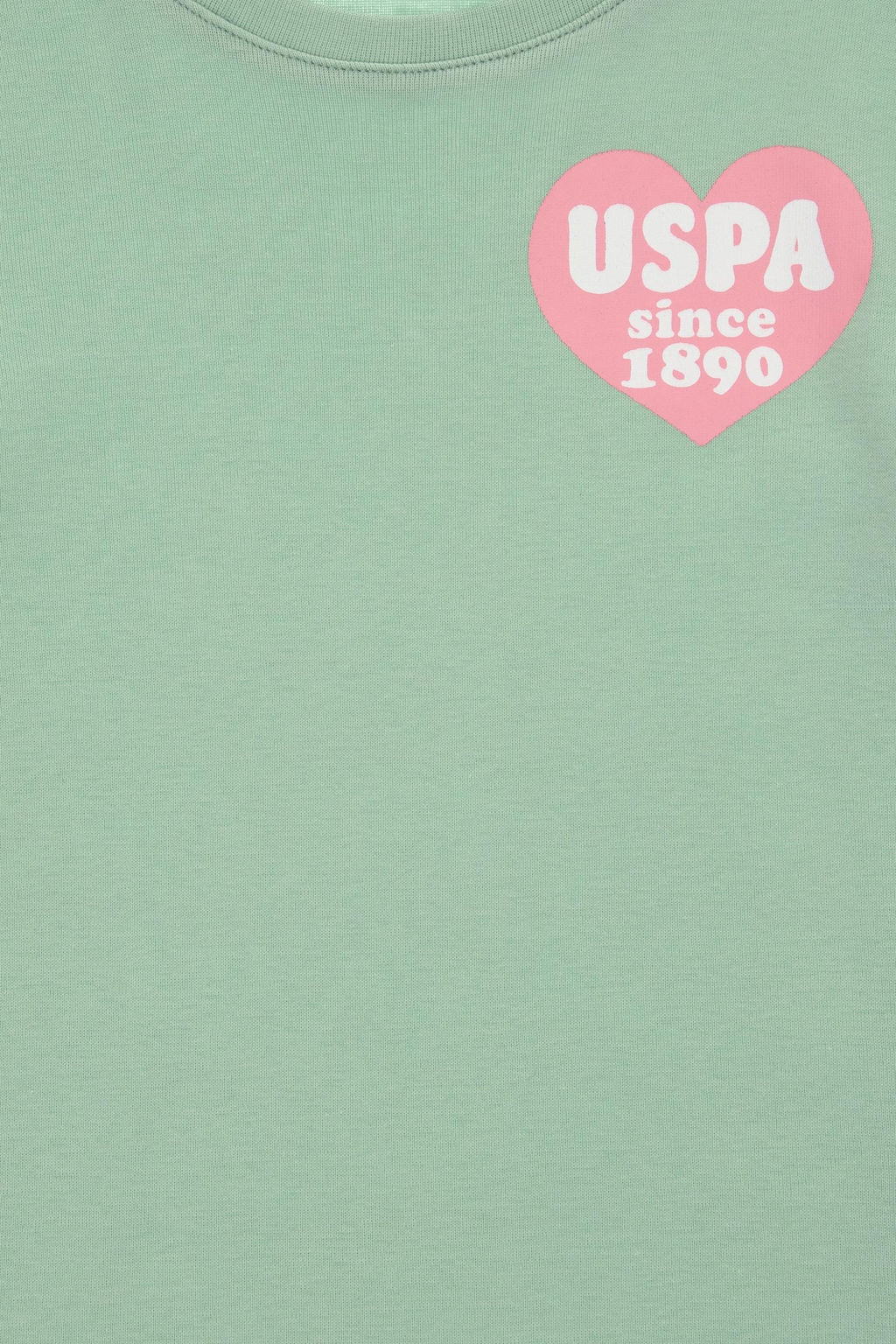 K_z _ocuk Su Ye_ili Bisiklet Yaka Basic Pamuk Ti__rt Sepette S_rpriz _ndirim - U.s. polo assn фото 3