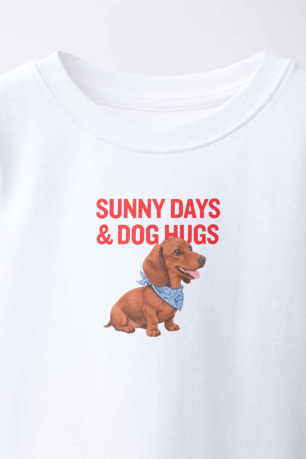 CAMISETA ESTAMPADO ANIMAL / Blanco
