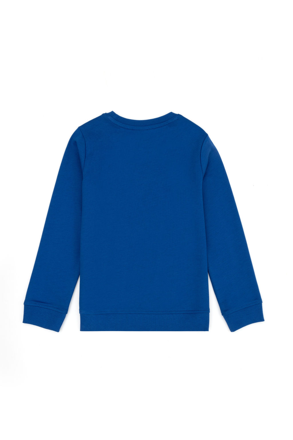 Толстовка для мальчика Saks Surphort Surprise Discount в корзине - U.s. polo assn фото 5