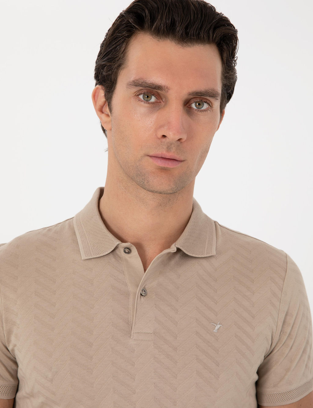 Vizon Slim Fit Desenli Polo Yaka T-shirt