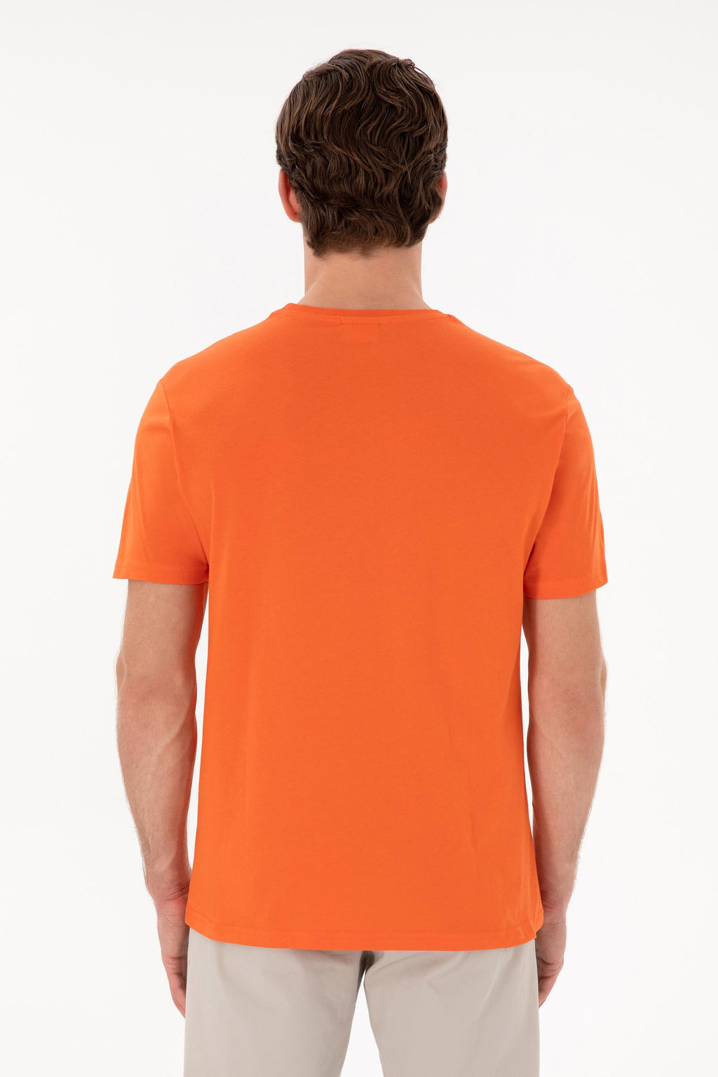 Erkek Regular Fit Bisiklet Yaka Nar _i_e_i Basic Ti__rt Sepette S_rpriz _ndirim - U.s. polo assn фото 12