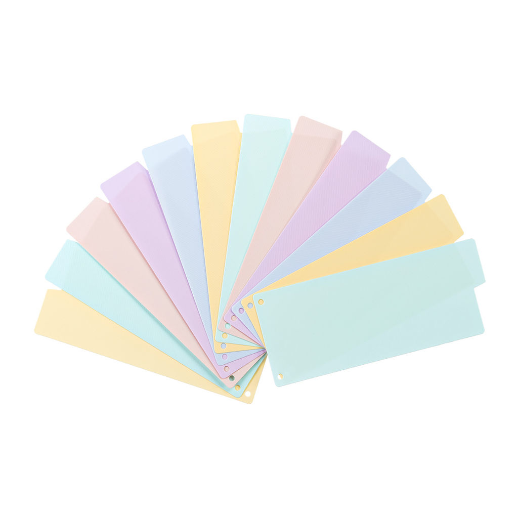 Expert Complete Trend Pastel Разделитель листов пластиковый (полоса) 12 шт. EC200010202 диагональ ассорти