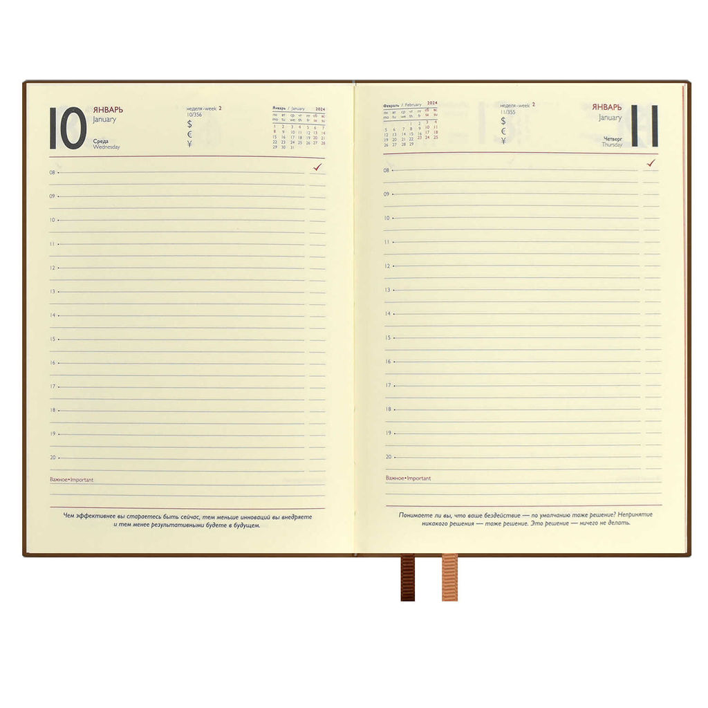 Ежедневник датированный 2024 ESCALADA, А6+, 176 л., арт. 63811/ 15 ГОУТСКИН КОРИЧНЕВЫЙ  фото 9