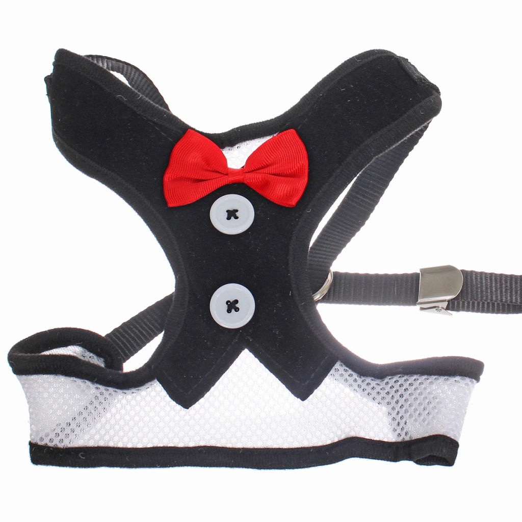 Шлейка с поводком для мелких пород собак и кошек "LAPUSIK", цвет черный, размер S