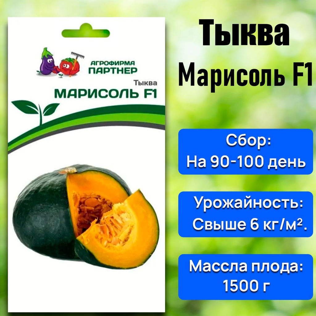 Тыква Марисоль - Партнёр фото 2