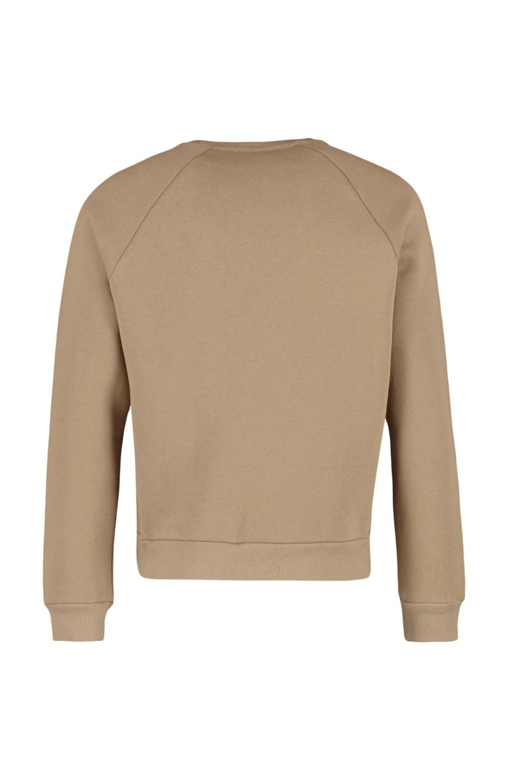 Vizon Regular/Normal Kesim Reglan Kollu Yaz? Bask?l? Sweatshirt TMNAW22SW0726