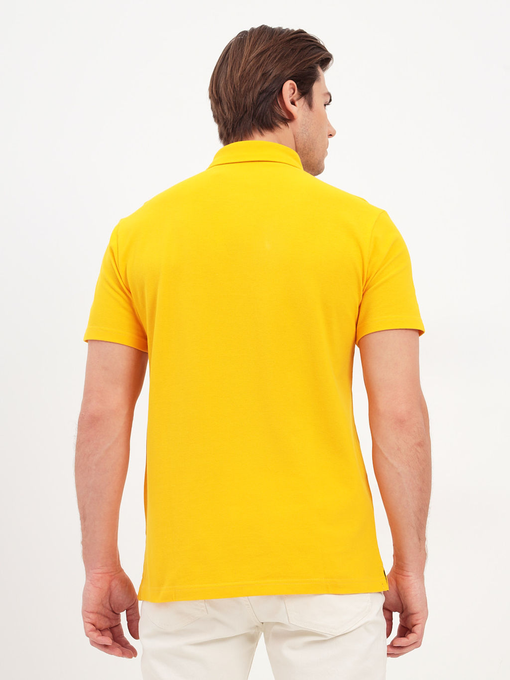 Джемпер мужской с воротником поло короткий рукав GREG G144-PO124T-CTP2023 (желтый)  фото 4