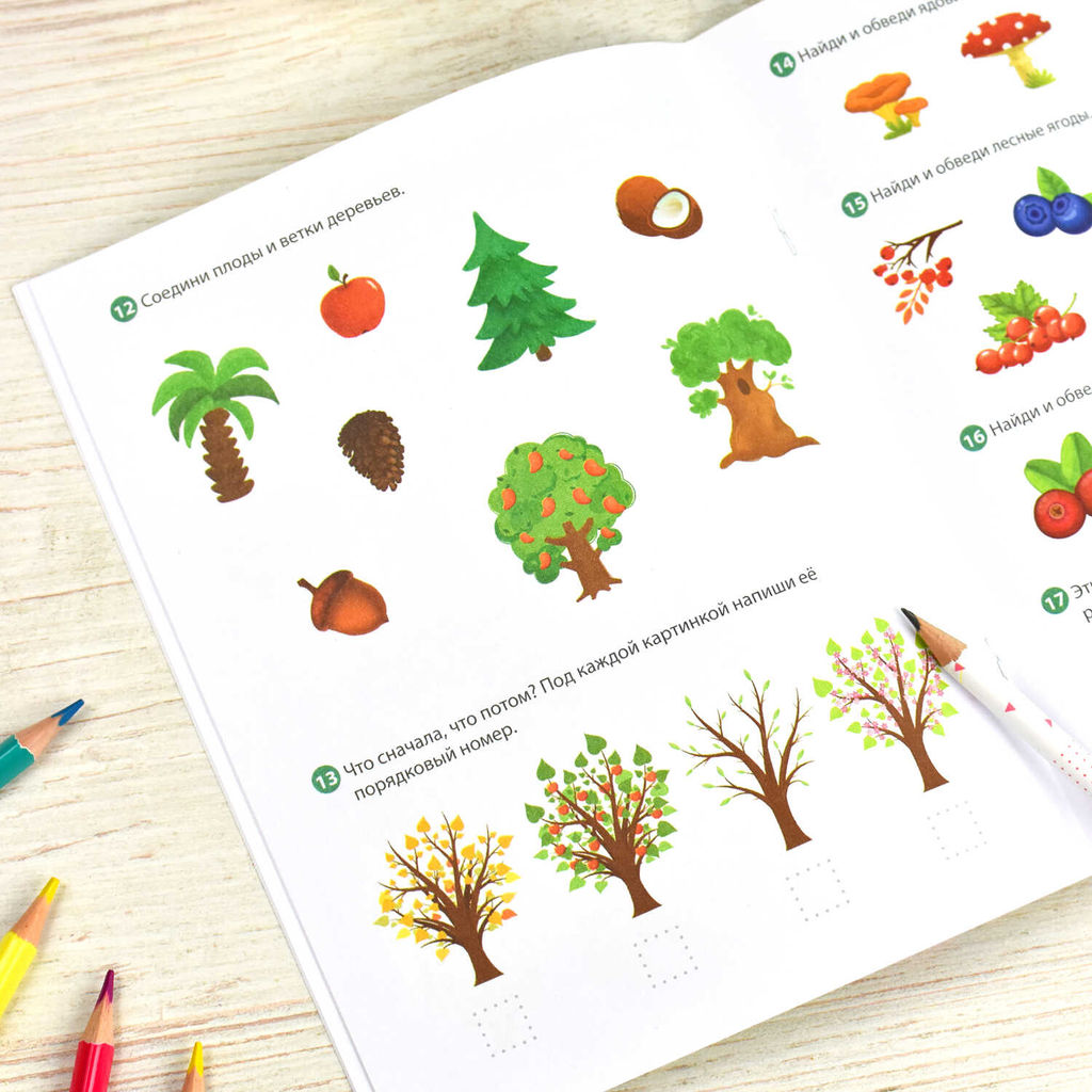 Книжка-картинка с заданиями для детей. Серия "К школе готов" арт. 64885 ОКРУЖАЮЩИЙ МИР