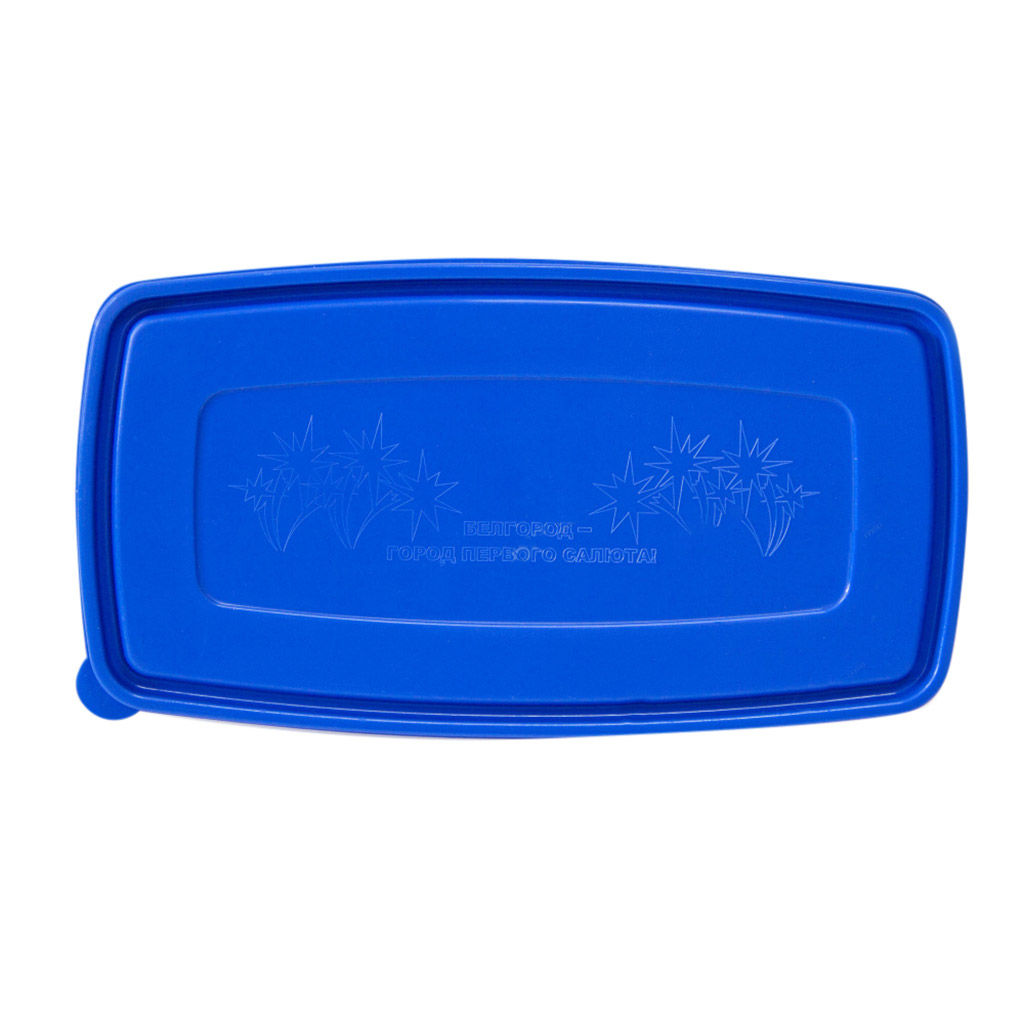 Контейнер пластмассовый Город первого салюта 1л, 24х13х4,4см, полипропилен, прямоугольный, синий (Россия) - Домашняя мода фото 3