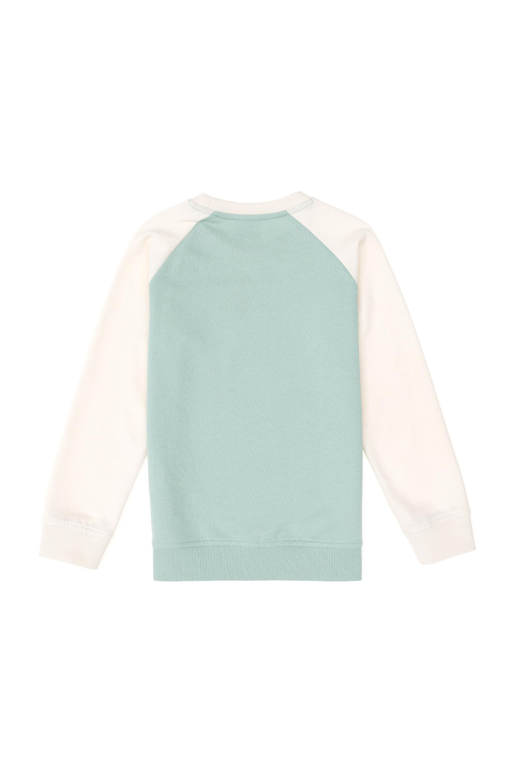 Толстовка водно-зеленого цвета для мальчика Неожиданная скидка в корзине - U.s. polo assn фото 2