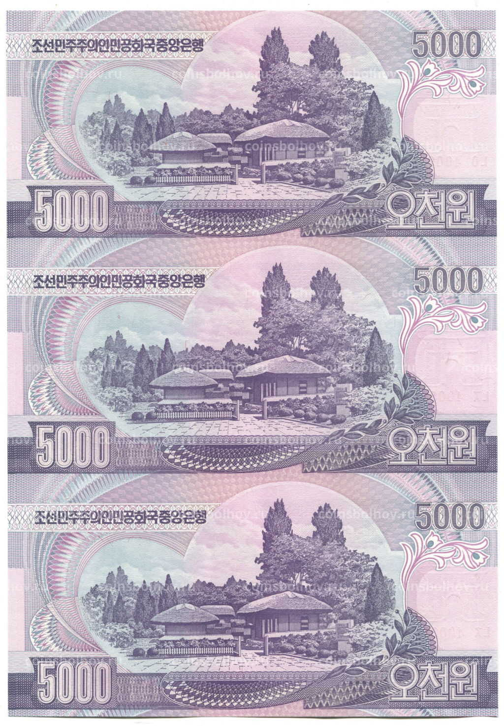 Банкнота 5000 вон 2006 года Северная Корея  Лист из трех банкнот
