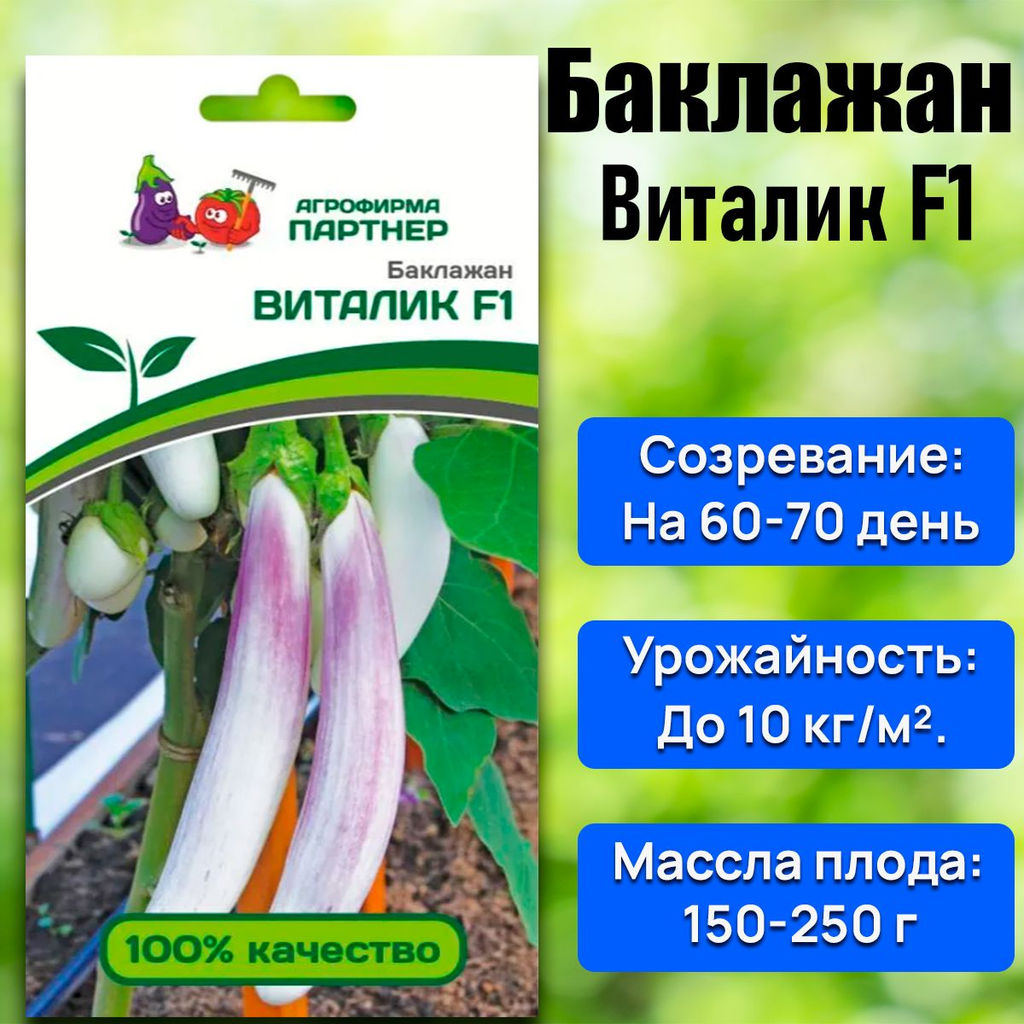 3011P Баклажан ВИТАЛИК F1 10шт