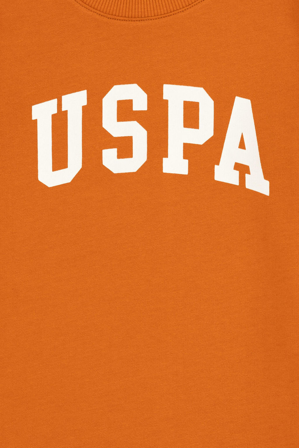 Базовый свитшот с корицей для мальчиков - U.s. polo assn фото 3