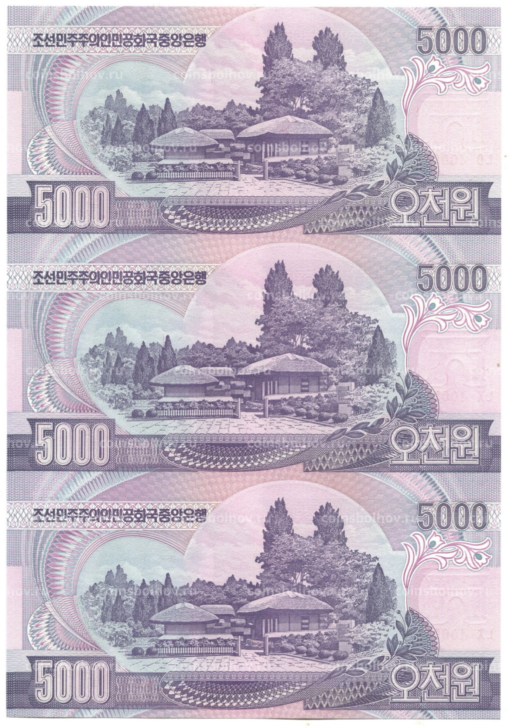 Банкнота 5000 вон 2006 года Северная Корея Лист из трех банкнот