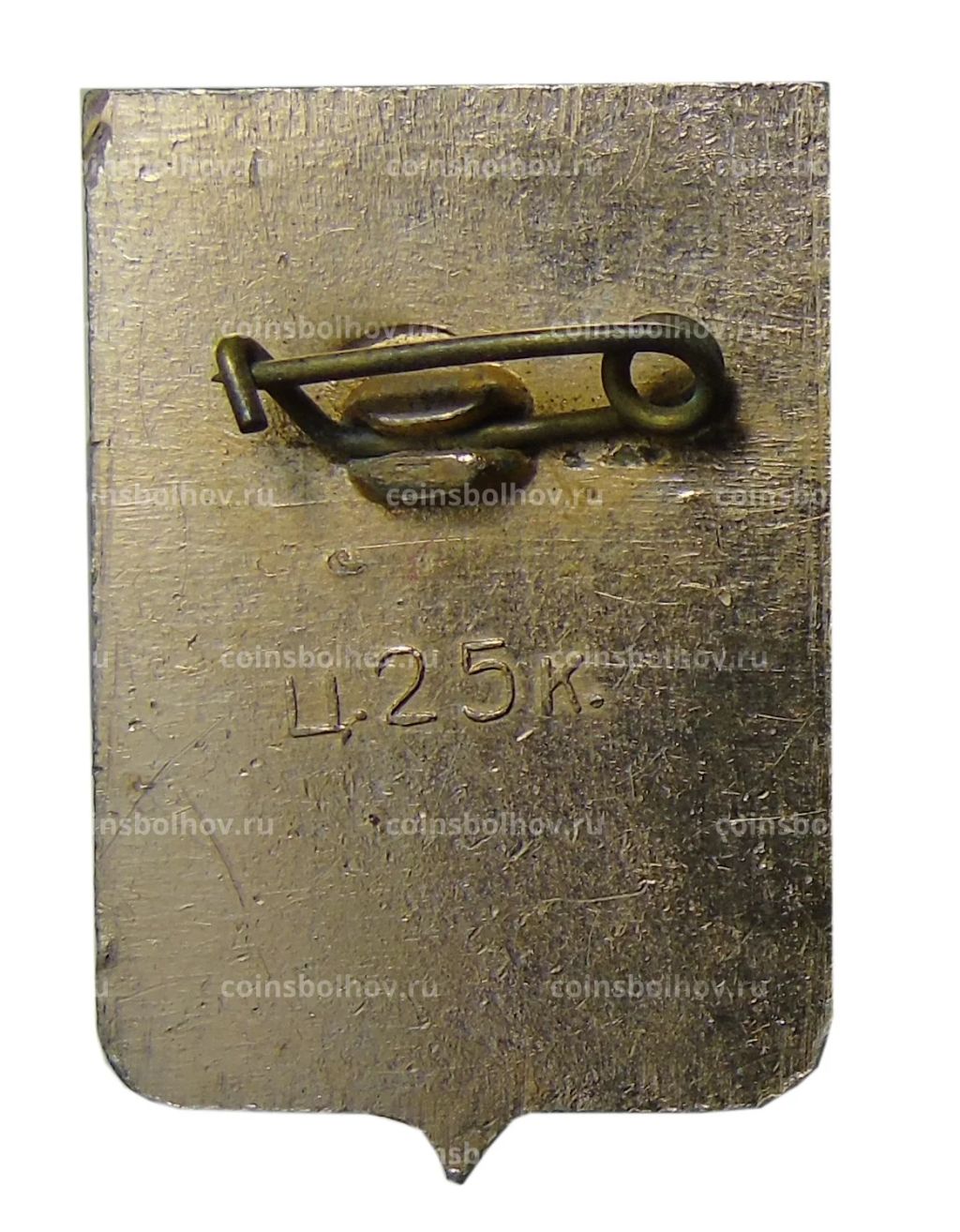 Значок Боровичи