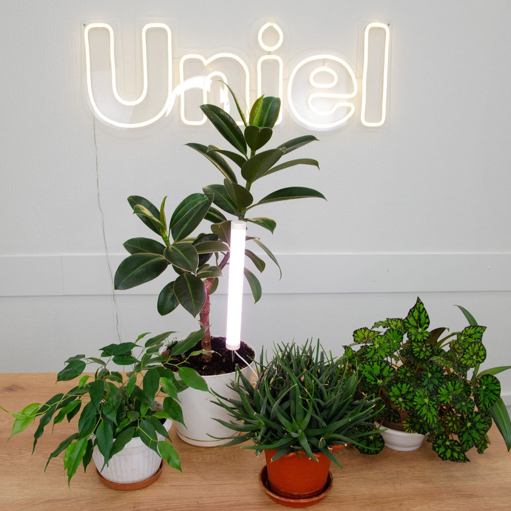 ULT-P39-6W/SPLE IP40 WHITE Светильник для растений светодиодный, высота 320мм, на колышке. Спектр для фотосинтеза. TM Uniel