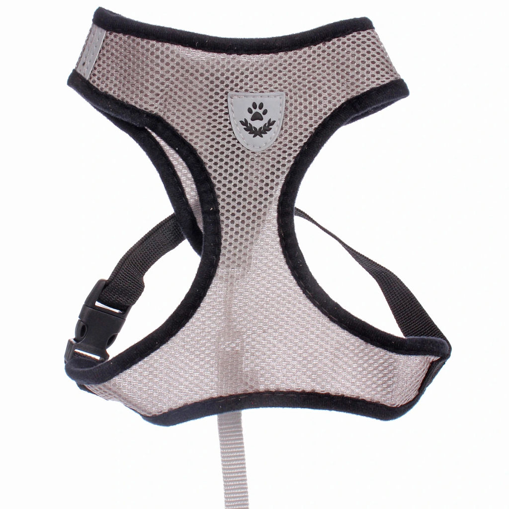 Цена за 2 шт. Шлейка с поводком 118см "Sweet puppy" размер ХL, цвет серый