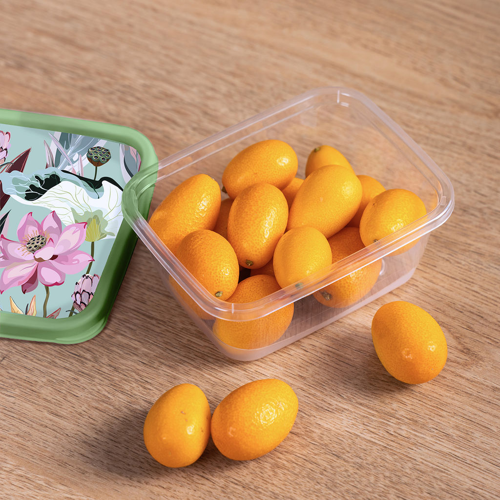 Цена за 2 шт. Контейнер для продуктов прямоугольный 0,85л с декором (зеленый) 222132118/08