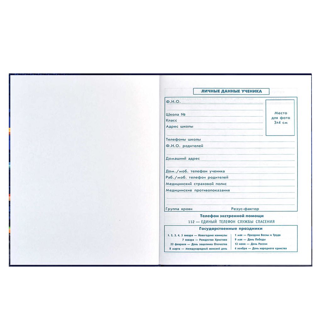 Дневник школьный 1-4 класс арт. 60067 СКЕЙТБОРДЫ - Феникс+ фото 6