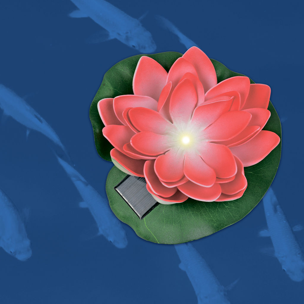 USL-S-826/PT060 RED WATERLILY Садовый светильник на солнечной батарее Красная кувшинка. Плавающий. 1 светодиода. Теплый белый свет. 1*ААA Ni-Mh аккумулятор в/к. IP44. TM Uniel - Volpe фото 6
