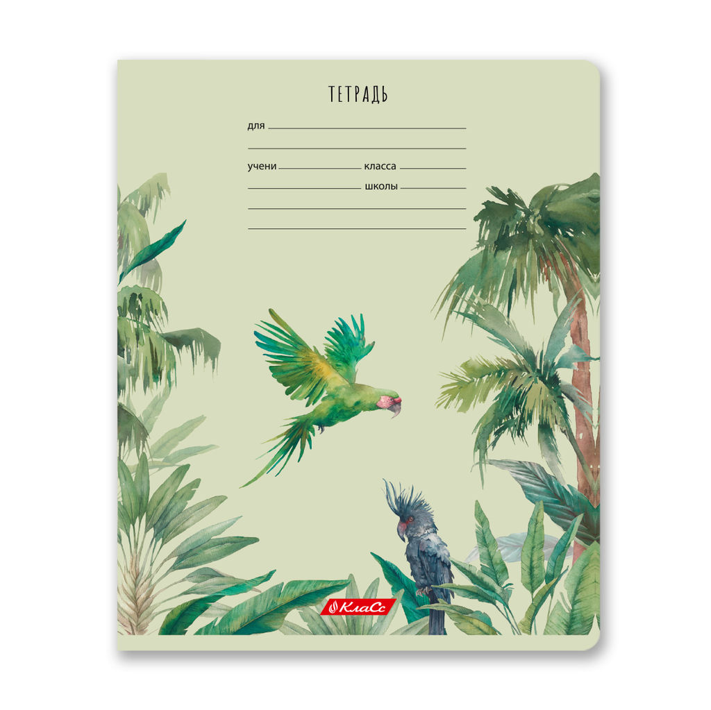 Светоч 24ТЕТк-001 Тетрадь ученическая школьная, A5 24 л. на скобе 65 г/кв.м , белизна 100 % 30 шт. клетка 000721 Саванна  фото 7