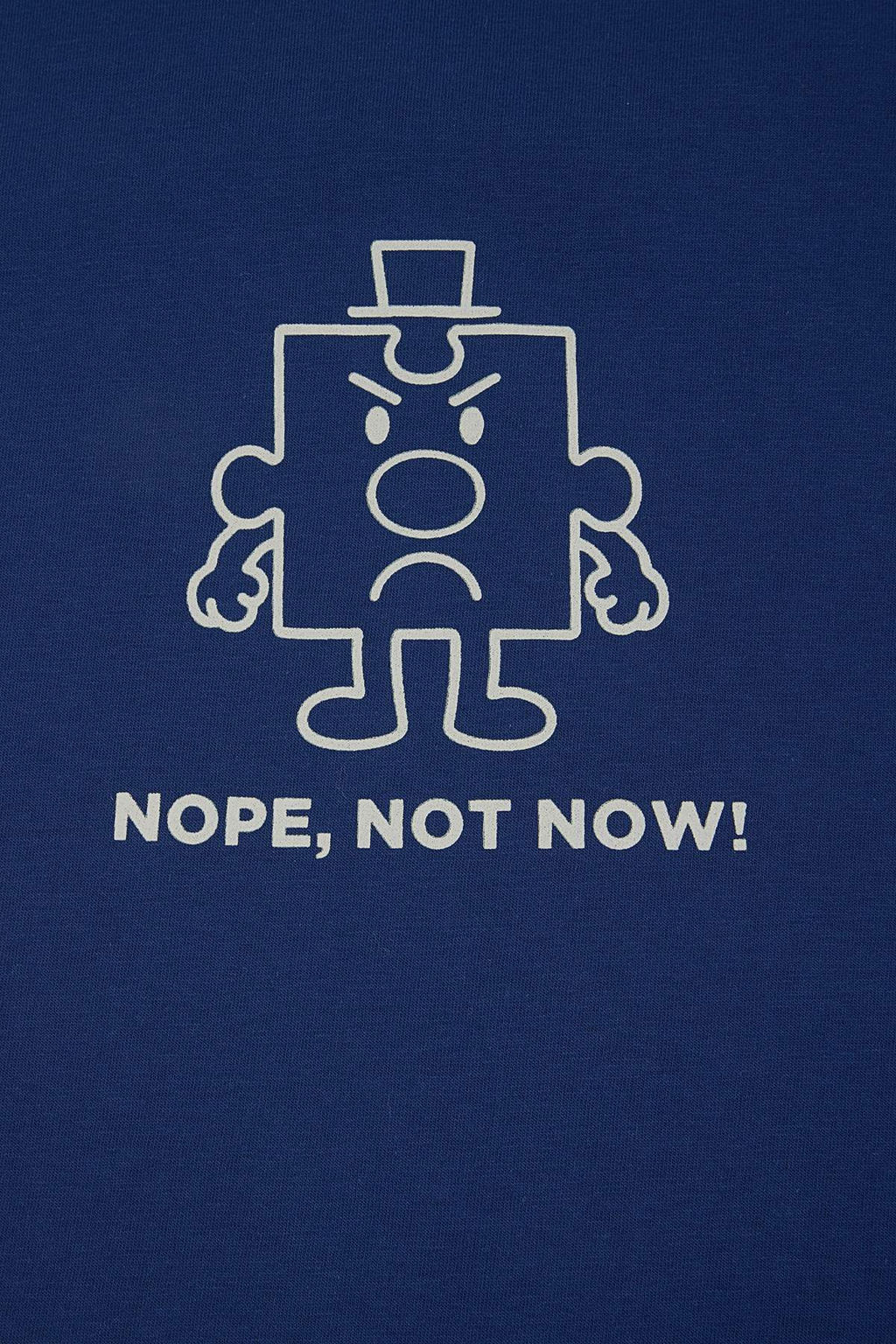 Indigo Regular Kesim Bask?l? Pamuklu Pijama Tak?m? TMNSS26PT00031