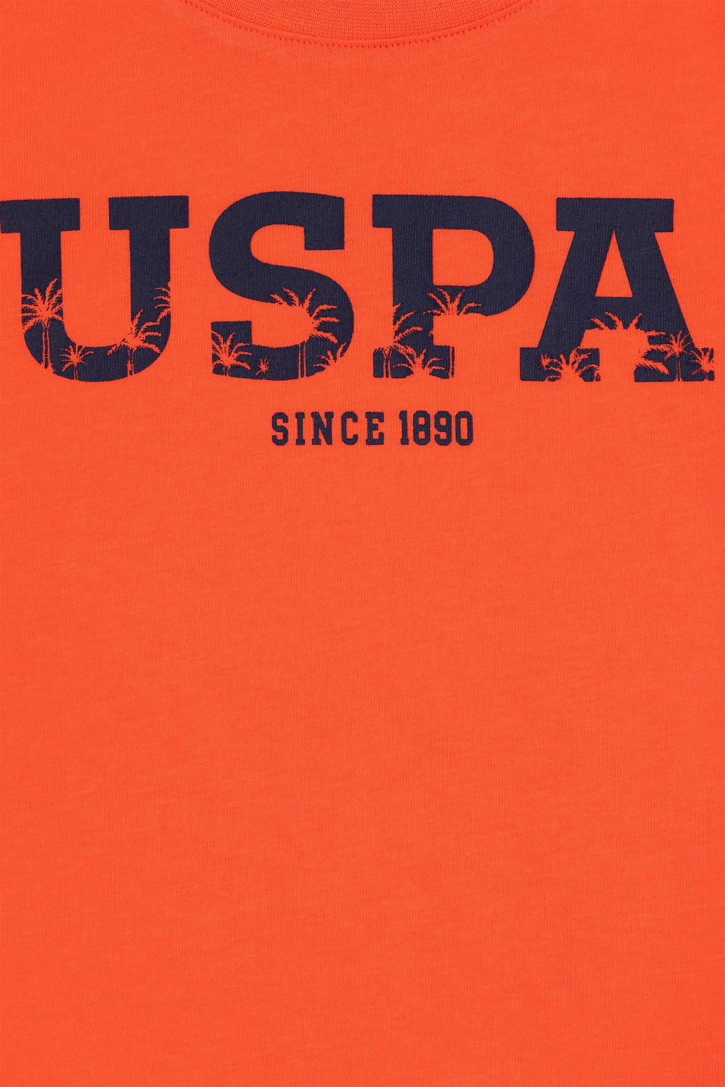 Базовая футболка с цветком граната для мальчиков - U.s. polo assn фото 3