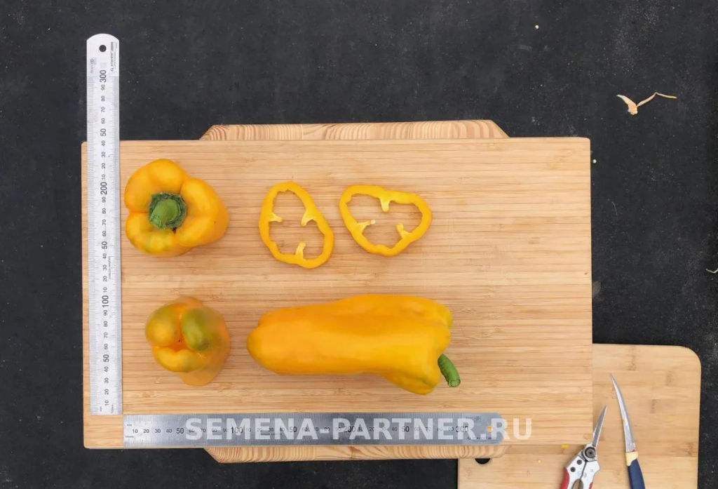 Перец сладкий Джемини - Партнер фото 5