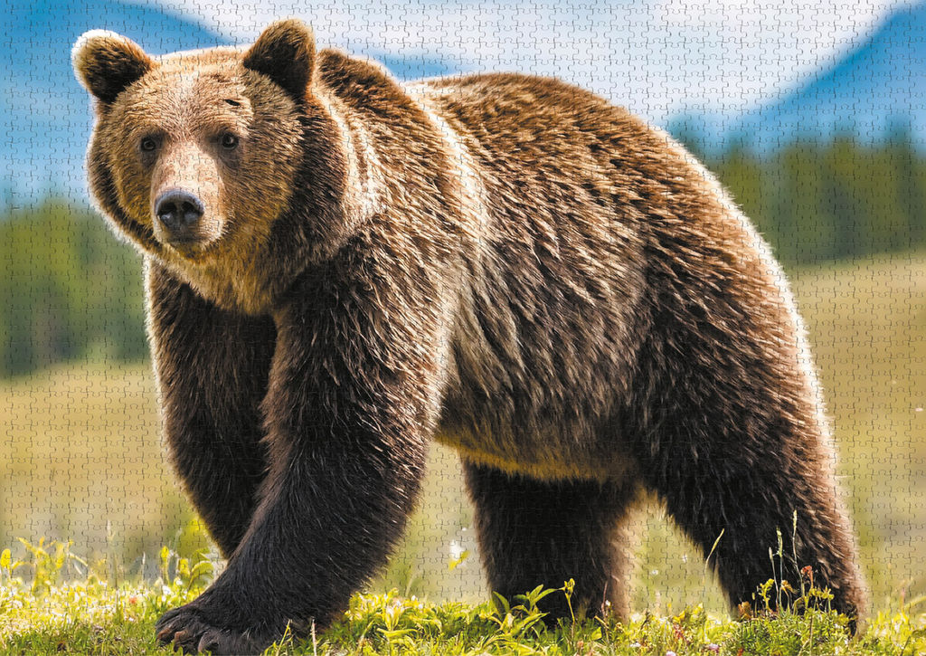 ФРЕЯ Пазл 2000 элемент. PZL-2000/44 Медведь среди гор