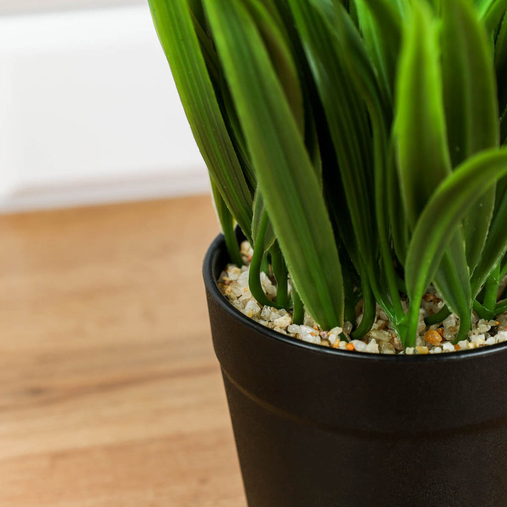 Цветочная композиция Осока 21 см / CW414-3 /уп 6/96/ - Галеонтрейд фото 2