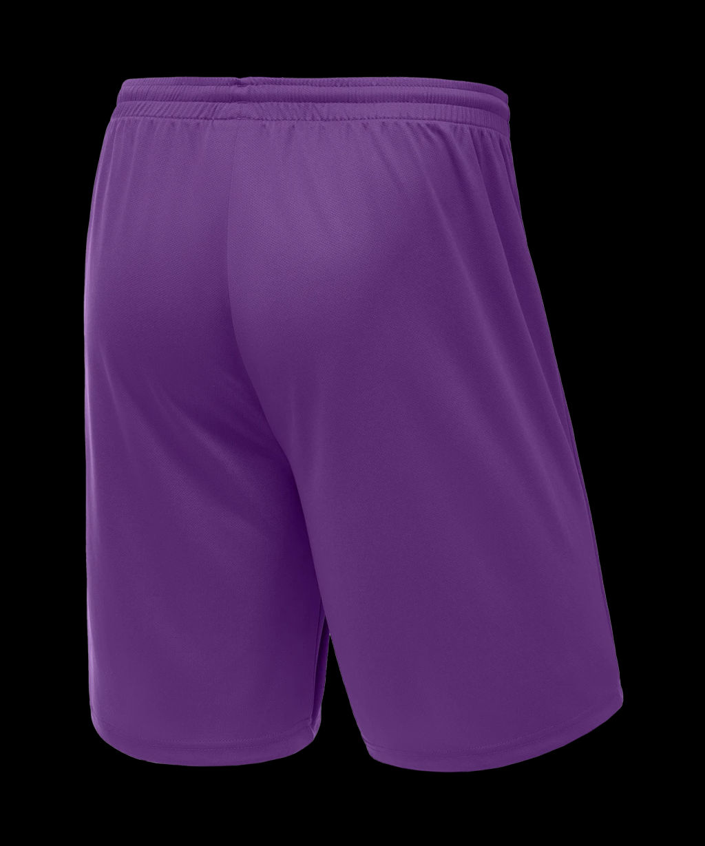 Шорты баскетбольные JOGEL CAMP Basic, фиолетовый, детский  фото 4