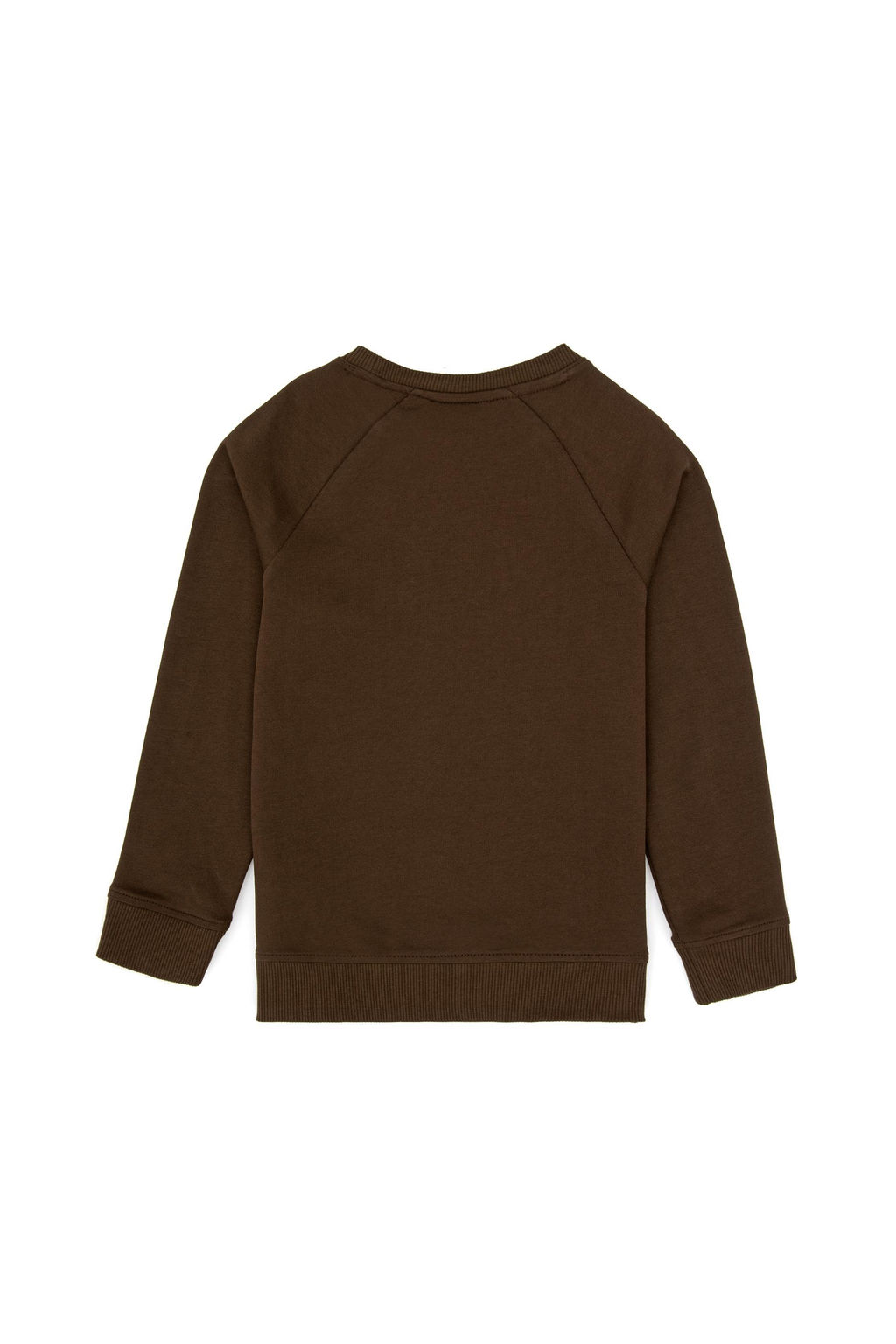 Erkek _ocuk Kahverengi Basic Sweatshirt Sepette S_rpriz _ndirim - U.s. polo assn фото 2