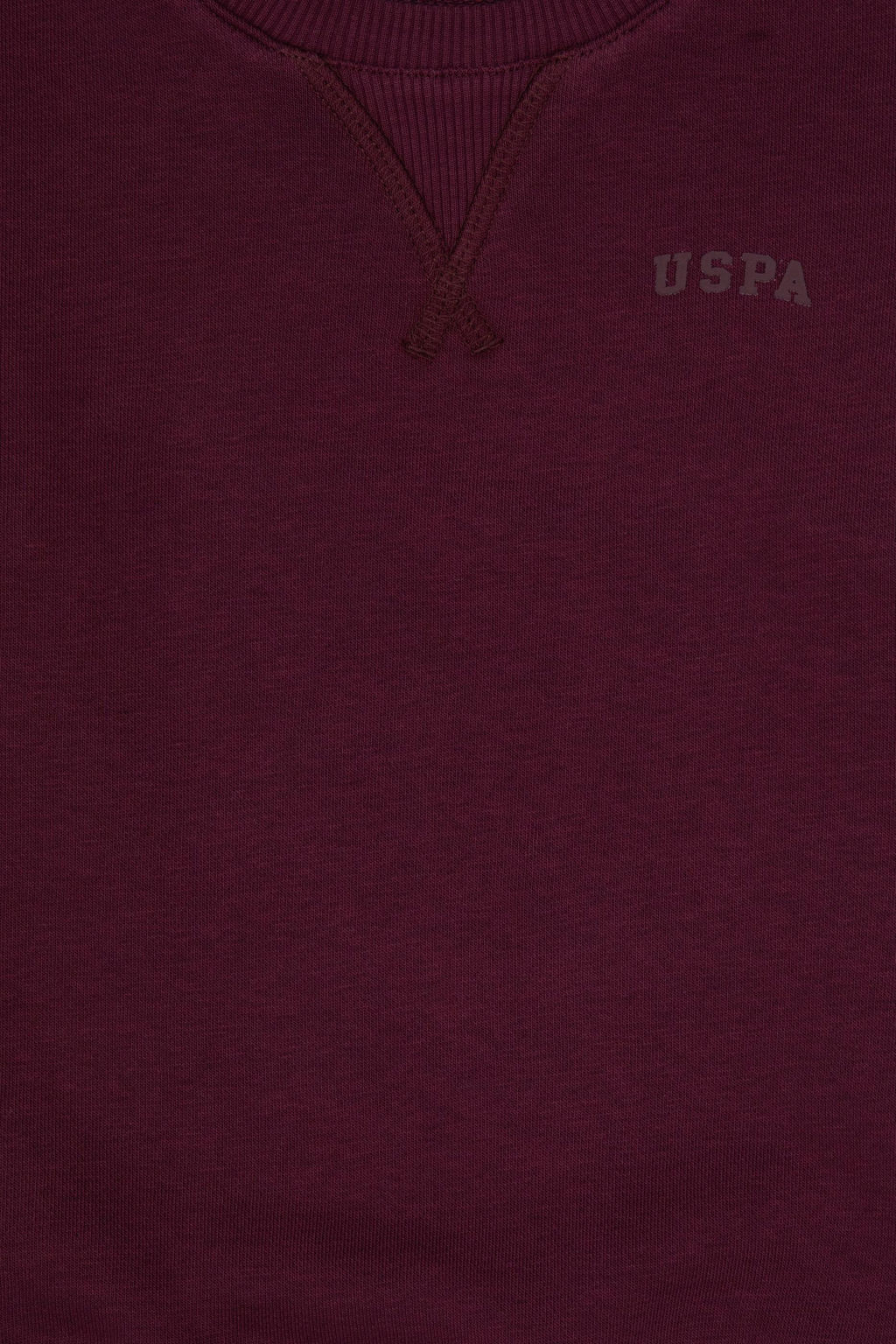 Erkek _ocuk Bordo Bisiklet Yaka Basic Sweatshirt - U.s. polo assn фото 3